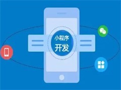 成都系统开发公司